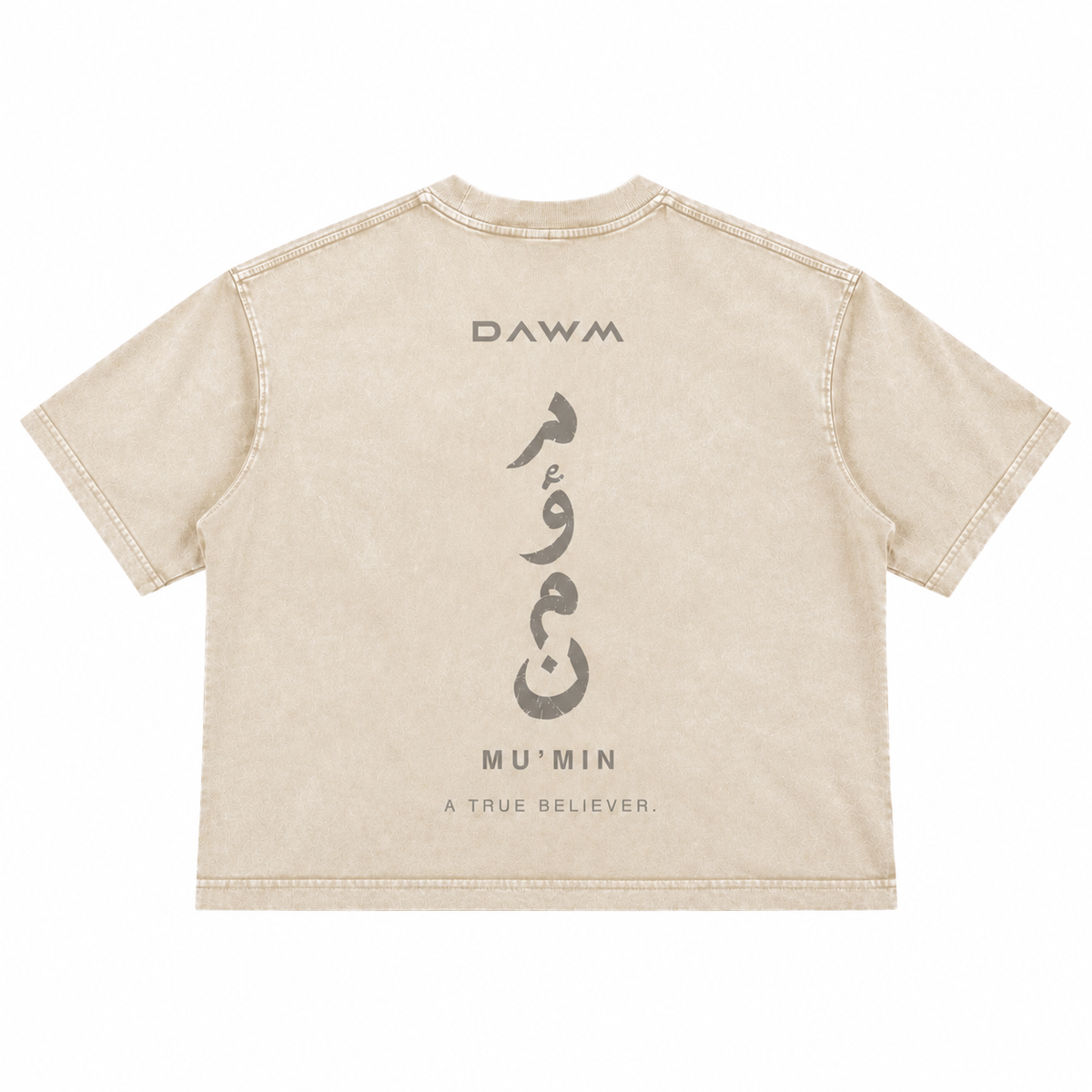 DAWM CODED 01 MU’MIN 275 GSM oversized tee in Bone, alternate view